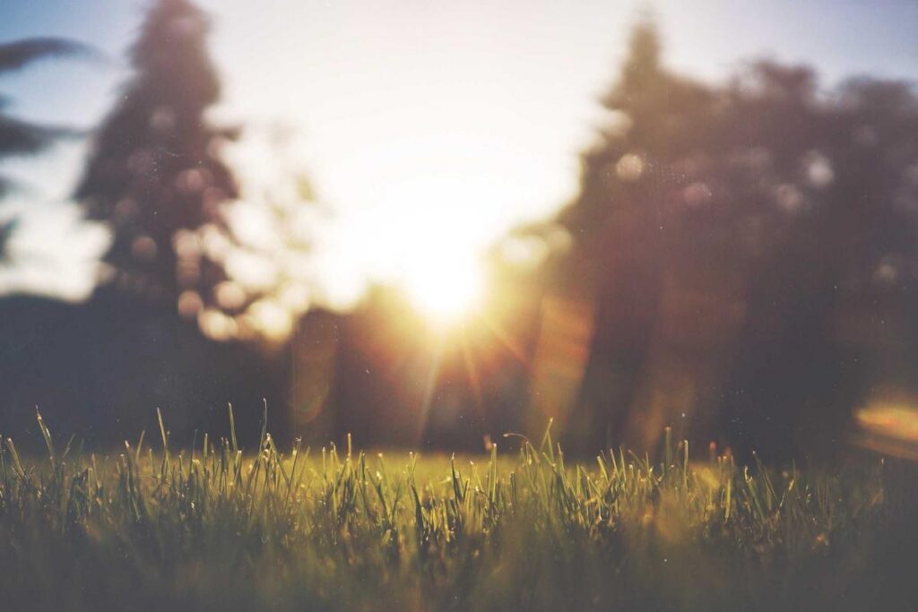 social media design best practices for 2025